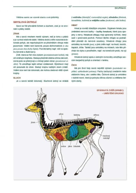 PENZUM – Myslivost pro teorii a praxi – XIX. vydání