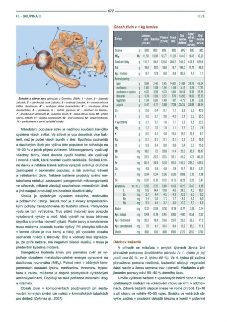 PENZUM – Myslivost pro teorii a praxi – XIX. vydání