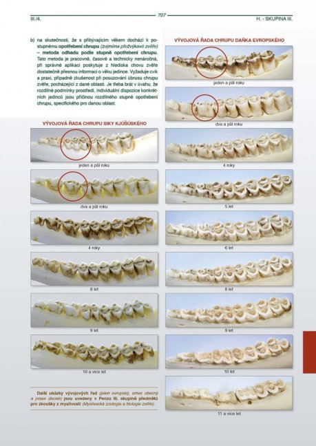 PENZUM – Myslivost pro teorii a praxi – XIX. vydání