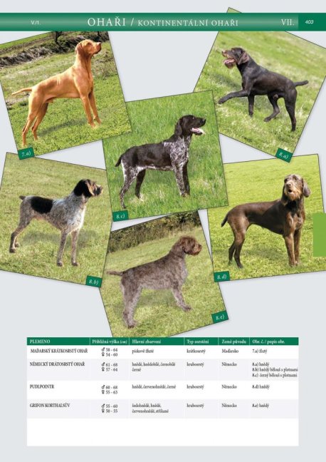 PENZUM – Myslivost pro teorii a praxi – XIX. vydání