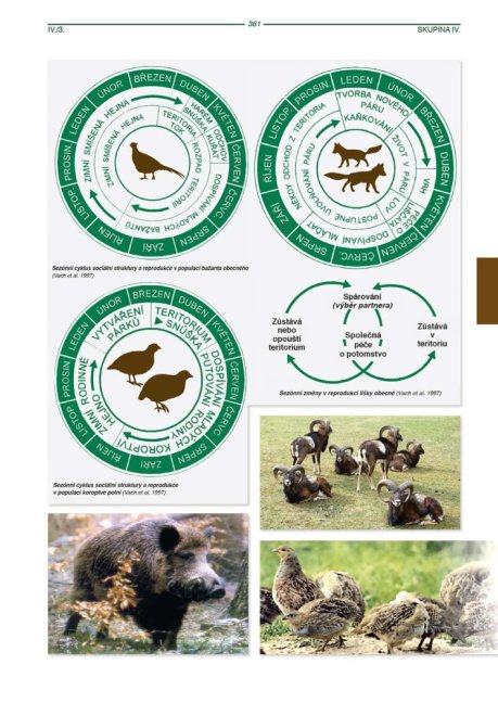 PENZUM – Myslivost pro teorii a praxi – XIX. vydání