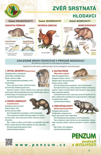 Názorný výukový panel – Zvěř srstnatá / hlodavci a zavlečené druhy