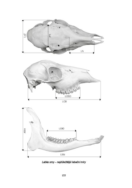 Zoologie lesnická - Obratlovci - praktická část