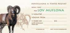 Pozvánka – Lov muflona – ilustrace