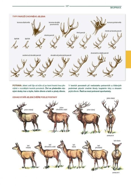 PENZUM – Myslivost pro teorii a praxi – XIX. vydání