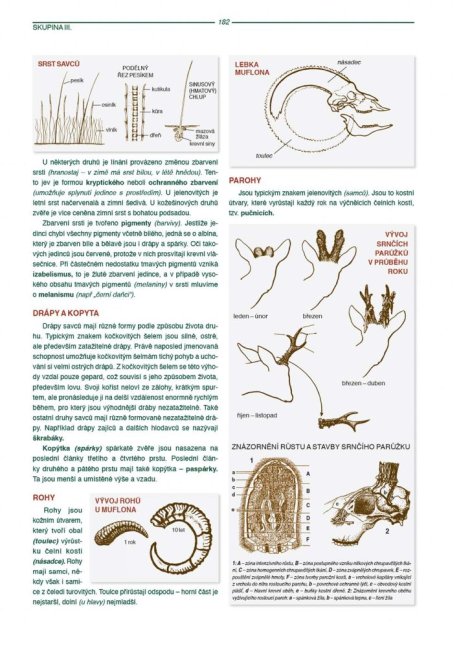 PENZUM – Myslivost pro teorii a praxi – XIX. vydání