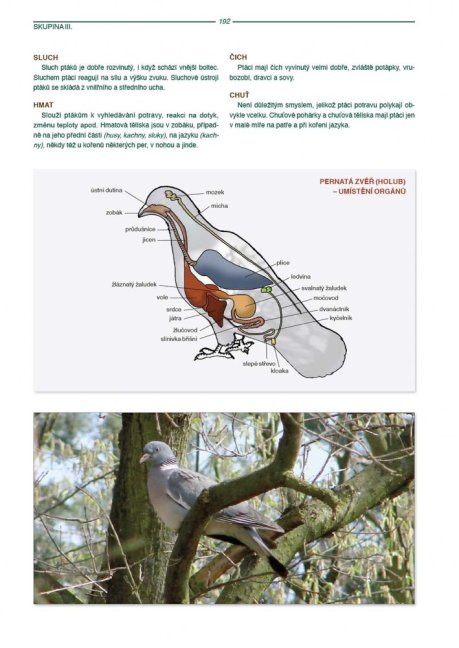 PENZUM – Myslivost pro teorii a praxi – XIX. vydání