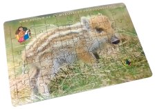 Puzzle – Prase divoké