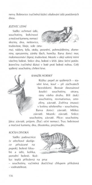 Myslivost v zrcadle pověr