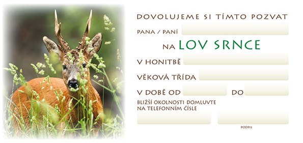 Pozvánka – Lov srnce – foto