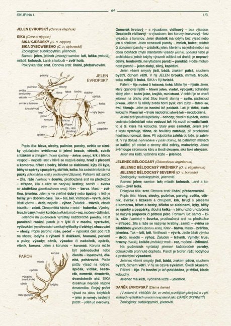 PENZUM – Myslivost pro teorii a praxi – XIX. vydání