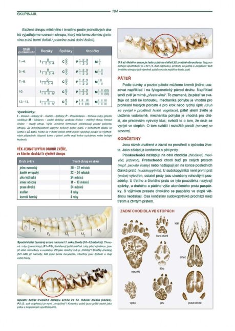 PENZUM – Myslivost pro teorii a praxi – XIX. vydání