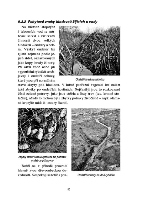 Zoologie lesnická - Obratlovci - praktická část
