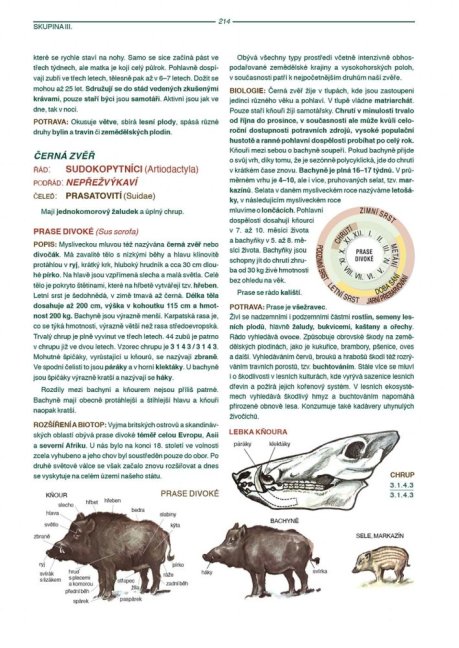 PENZUM – Myslivost pro teorii a praxi – XIX. vydání