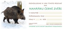 Pozvánka – Naháňka černé zvěře – foto (beze jména)