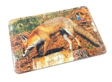 Puzzle – Liška obecná