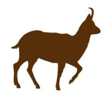 Piktogram – Kamzík