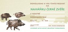 Pozvánka – Naháňka černé zvěře – ilustrace (beze jména)