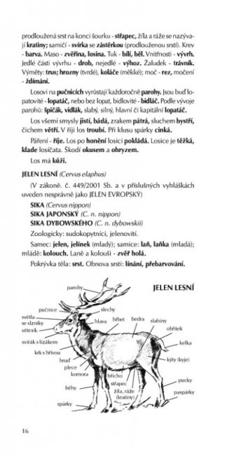 Myslivecká mluva