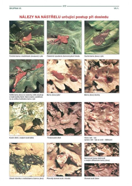 PENZUM – Myslivost pro teorii a praxi – XIX. vydání