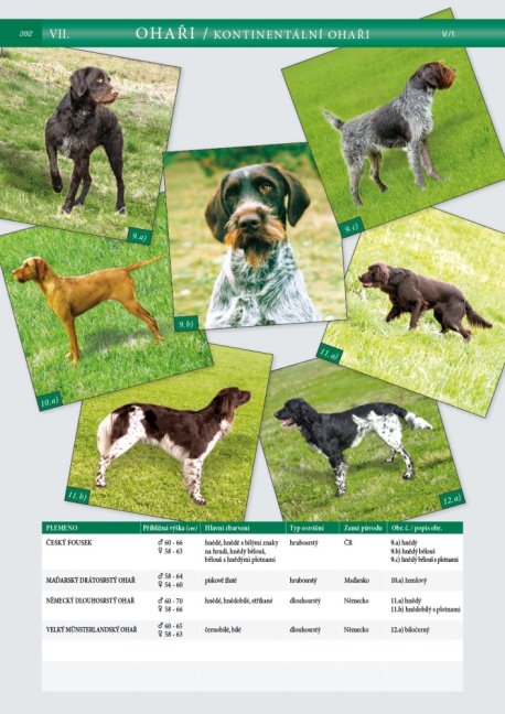 PENZUM – Myslivost pro teorii a praxi – XVII. vydání – s tiskovou chybou