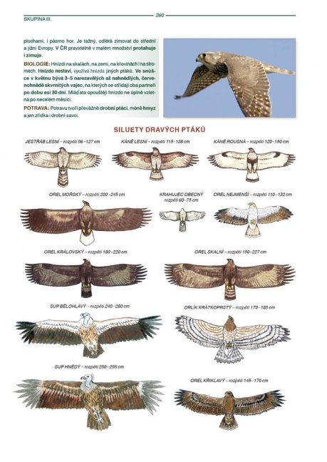 PENZUM – Myslivost pro teorii a praxi – XIX. vydání
