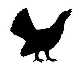 Piktogram – Tetřev - barva samolepící fólie: Hnědá