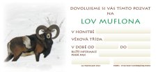 Pozvánka – Lov muflona – foto (beze jména)