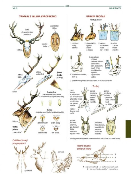PENZUM – Myslivost pro teorii a praxi – XIX. vydání