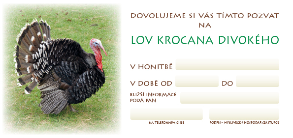 Pozvánka – Lov krocana divokého – foto (beze jména)