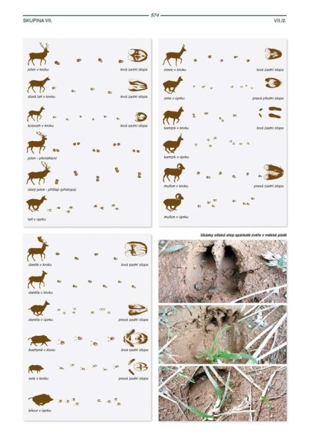 PENZUM – Myslivost pro teorii a praxi – XIX. vydání