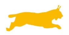 Piktogram – Rys