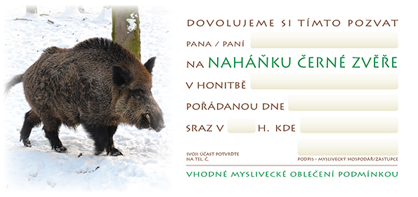 Pozvánka – Naháňka černé zvěře – foto