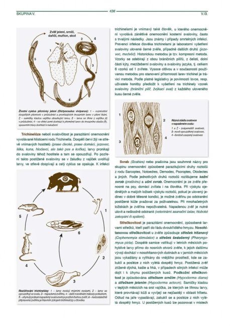 PENZUM – Myslivost pro teorii a praxi – XIX. vydání