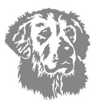 Piktogram – Retrívr hlava