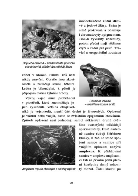 Zoologie lesnická - Obratlovci - praktická část