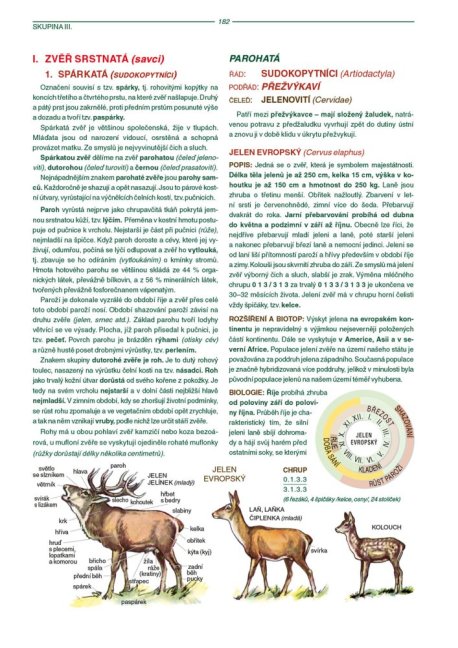 PENZUM – Myslivost pro teorii a praxi – XVII. vydání – s tiskovou chybou