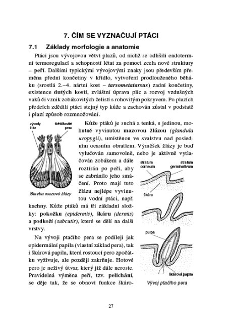 Zoologie lesnická - Obratlovci - praktická část