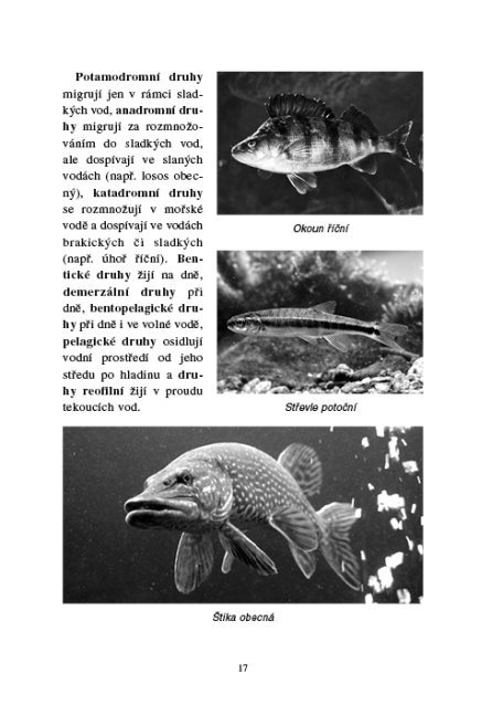 Zoologie lesnická - Obratlovci - praktická část