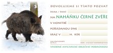 Pozvánka – Naháňka černé zvěře – foto