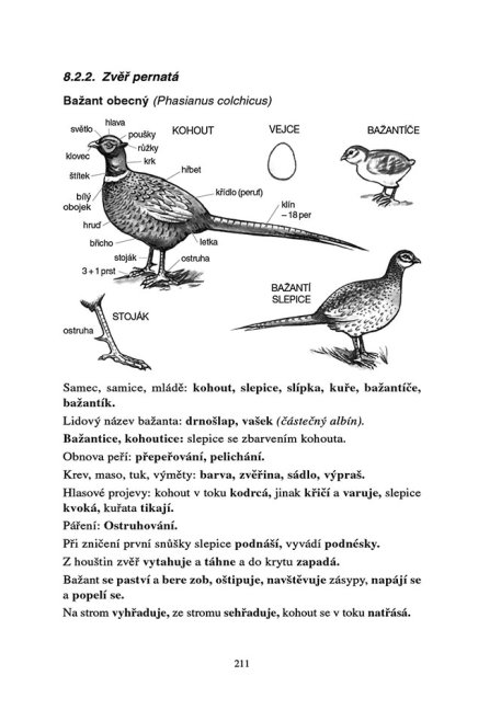 Úvod do myslivosti – Historie, zvyky, tradice