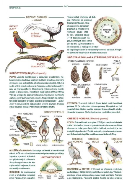 PENZUM – Myslivost pro teorii a praxi – XIX. vydání