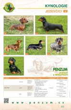 Názorný výukový panel – Kynologie / jezevčíci