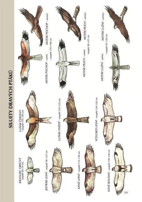 Myslivecká zoologie