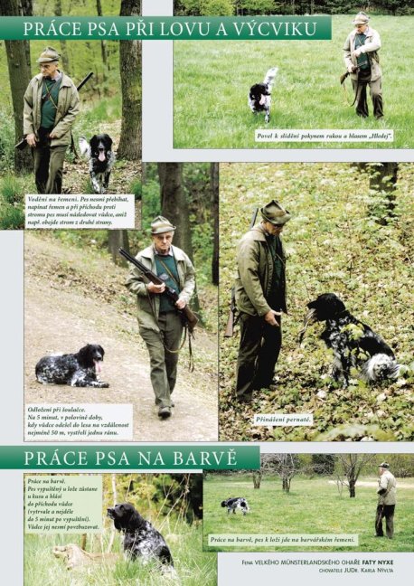 PENZUM – Myslivost pro teorii a praxi – XIX. vydání